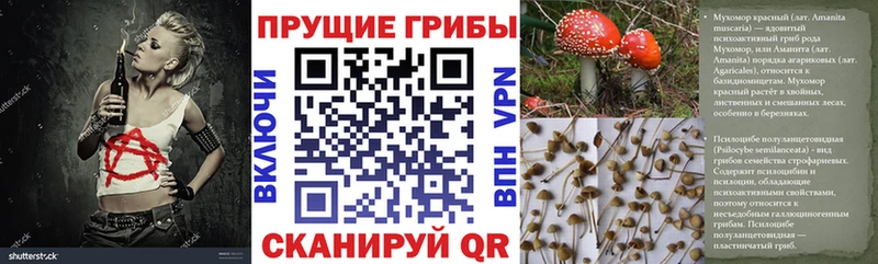Псилоцибиновые грибы Magic Shrooms  Нефтекамск 