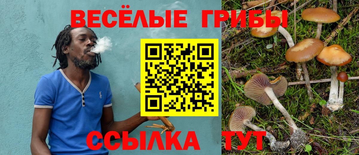 Псилоцибиновые грибы ЛСД Нефтекамск