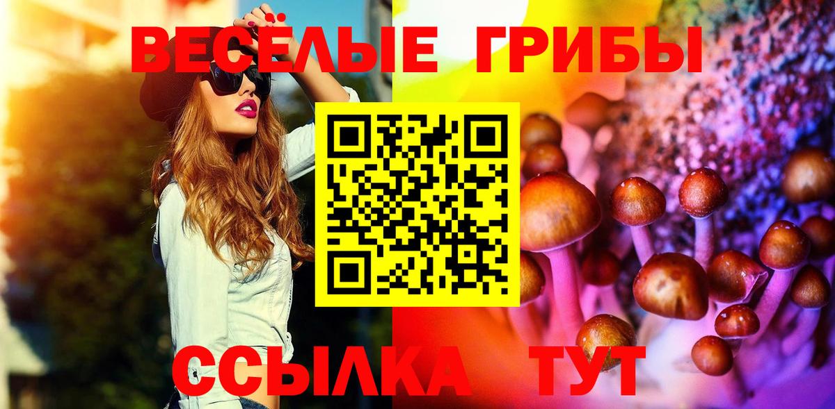 Галлюциногенные грибы Cubensis  Вход с VPN  где купить наркоту  Нефтекамск 